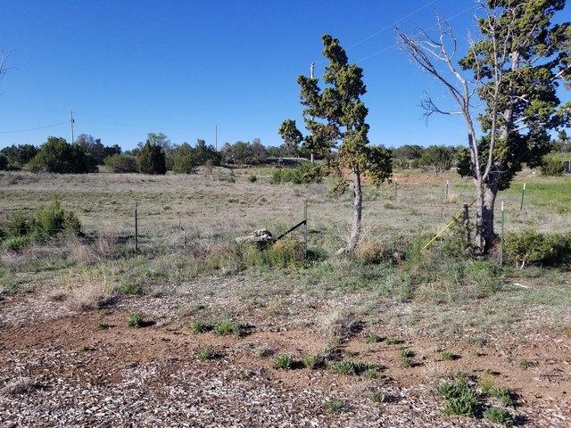 Land for sale in Edgewood, New Mexico