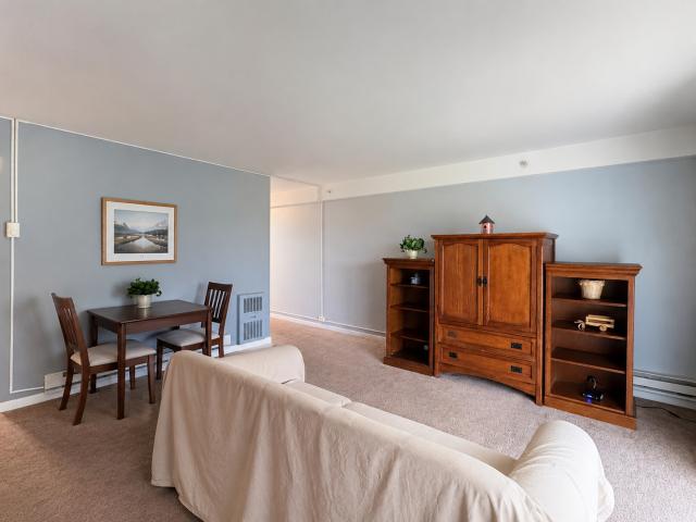 Condo for sale in Mount Prospect, Illinois