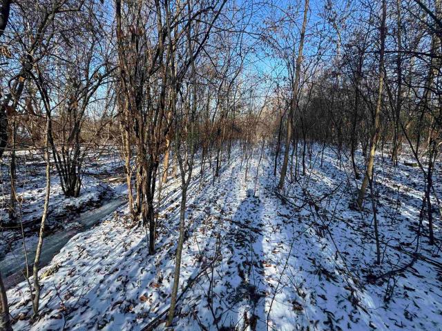 Land for sale in Wisconsin