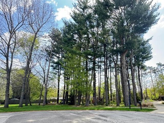 Land for sale in Stevensville, Michigan