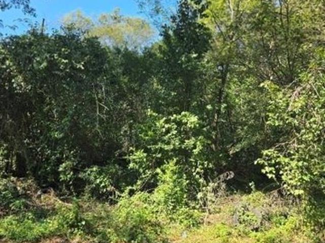 Land for sale in Phenix City, Alabama