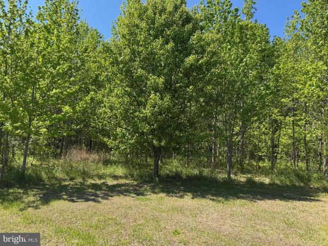 Land for sale in Virginia