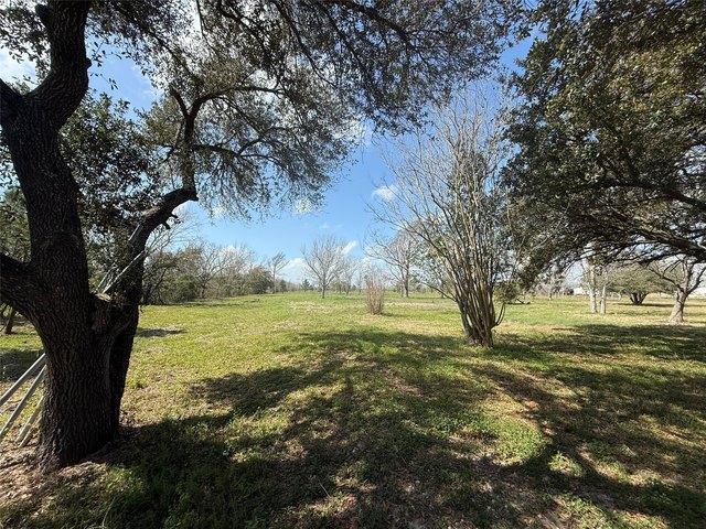 Land for sale in Liverpool, Texas