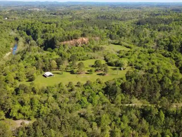 House for rent in Pinson
