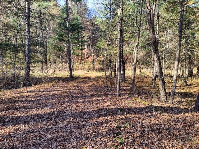 Land for sale in Virginia