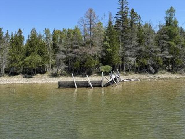 Land for sale in Cedarville, Michigan