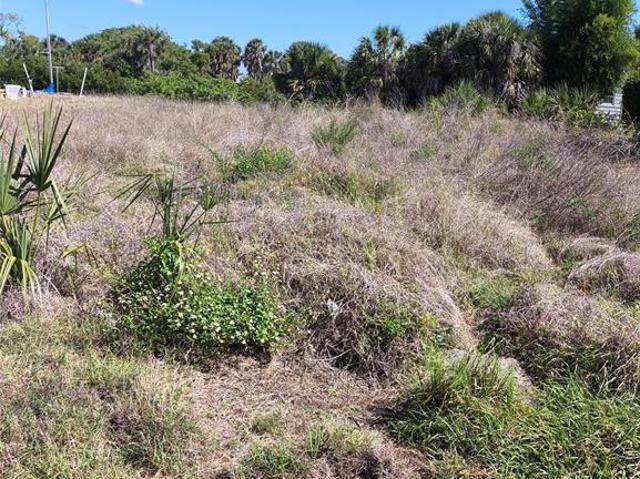 Land for sale in Port Charlotte, Florida