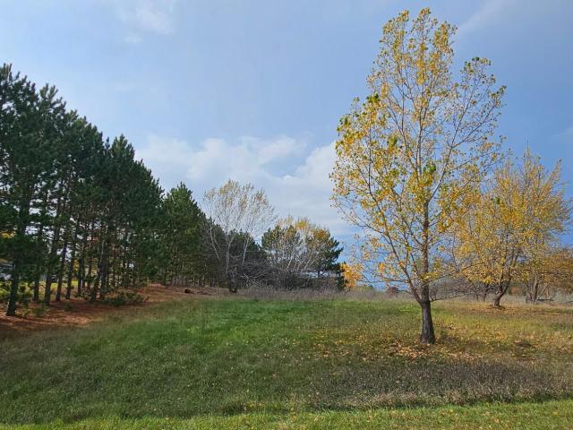 Land for sale in Elk River, Sherburne County