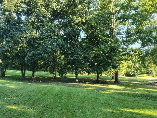 Land for sale in Beaver, Pike County