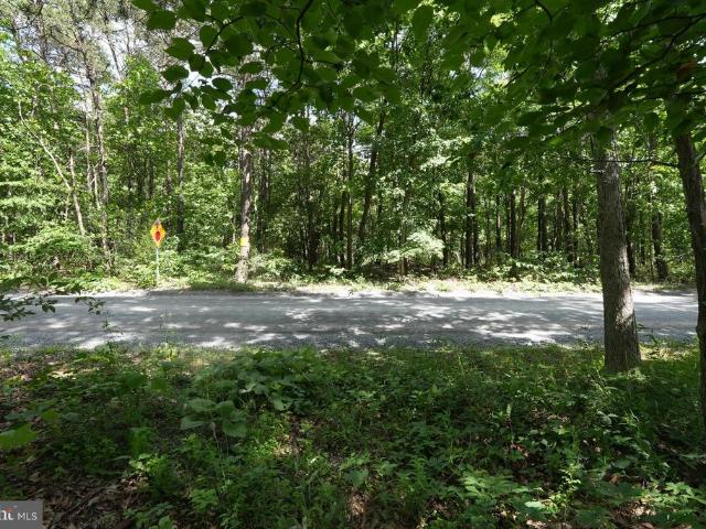 Land for sale in Reynolds Store, Frederick County