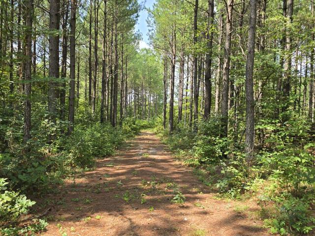 Land for sale in Tennessee