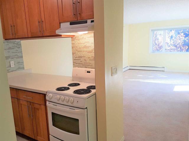 Apartment for rent in Vancouver, British Columbia