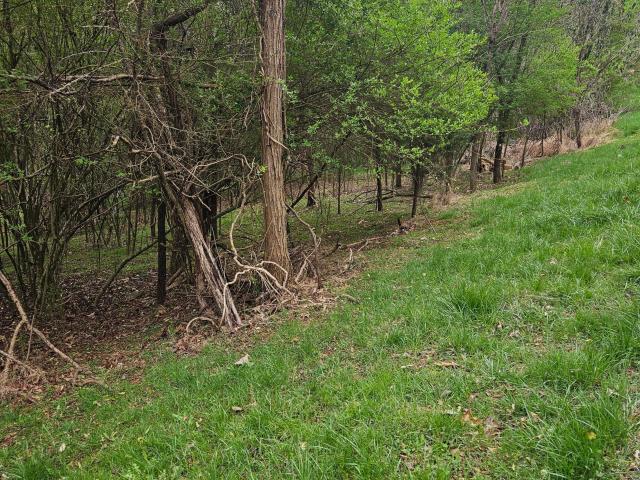Land for sale in Tennessee