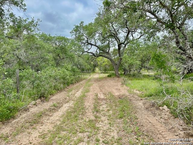 Commercial Land for sale in Natalia