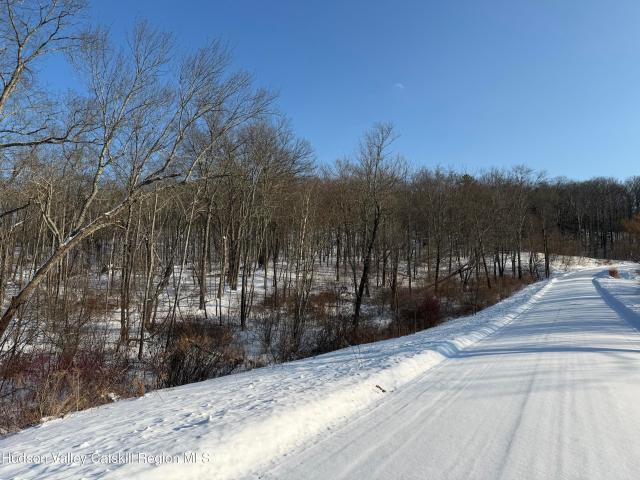 Land for sale in Town of Taghkanic, Columbia County