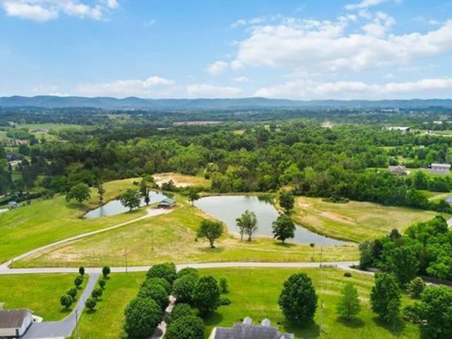 Farm for sale in Whites, Berea