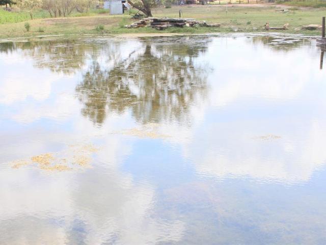 Land for sale in Richland Springs, Texas