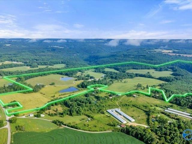 Land for sale in Albertville, Alabama