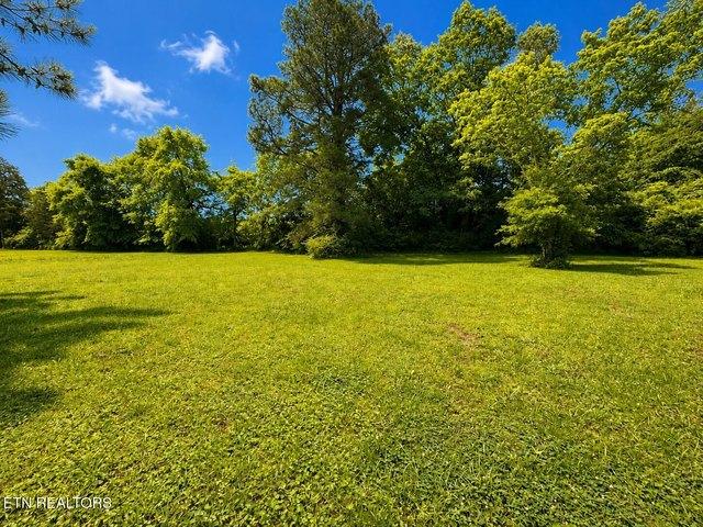 Land for sale in Ten Mile, East Tennessee