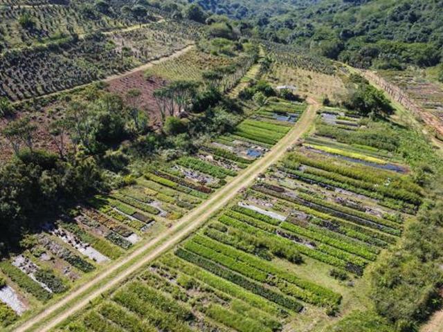 Farm for sale in Umgungundlovu, Kwazulu-natal