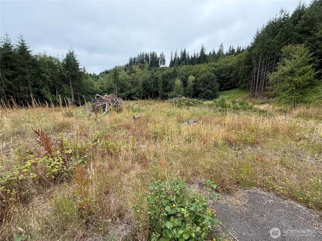 Land for sale in Longview