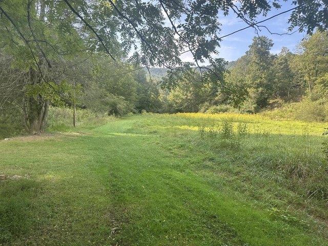 Land for sale in Hayesville, North Carolina