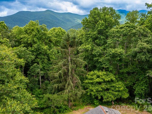 Land for sale in Black Mountain, North Carolina