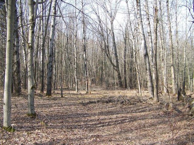 Farm for sale in Oneonta, New York