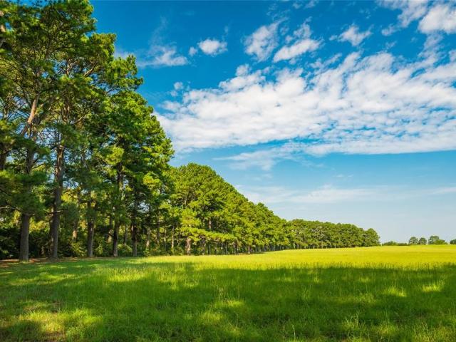 Farm for sale in Hempstead, Waller County