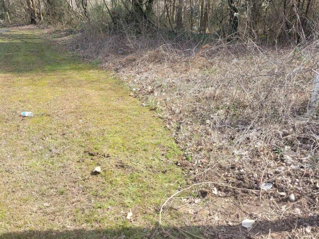 Land for sale in Forestdale, Alabama