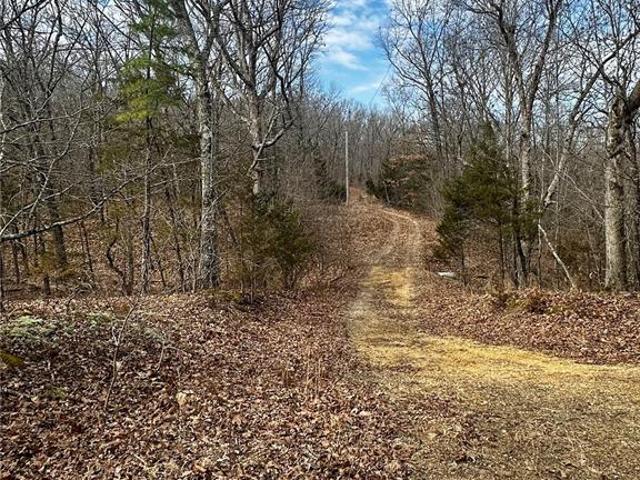 Property for sale in Park Hills, Missouri