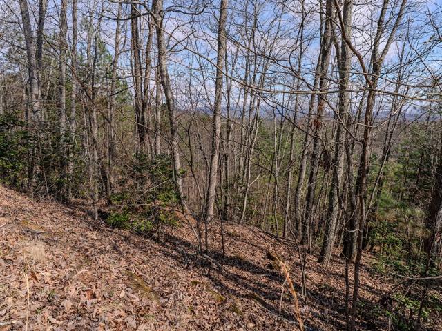 Land for sale in Blairsville, Union County
