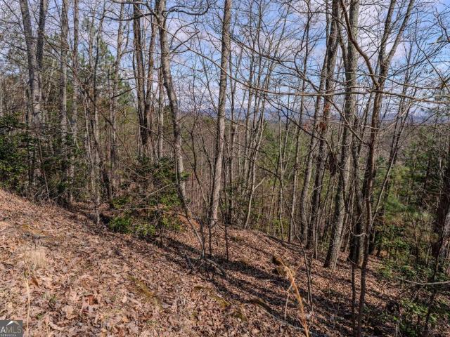 Land for sale in Blairsville, Union County