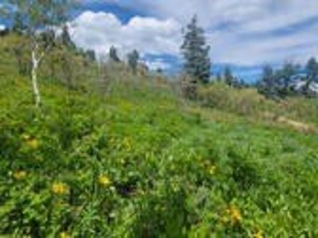 Land for sale in Coalville, Utah