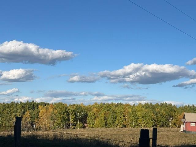 Land for sale in Bagley, Clearwater County