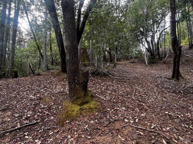 Land for sale in Willits, California