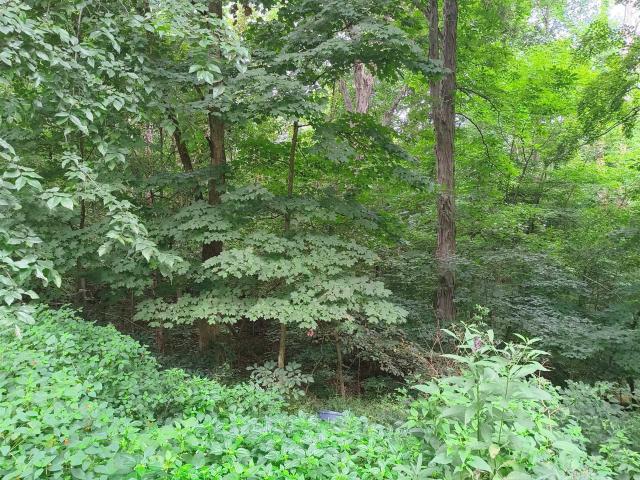 Land for sale in Spencer, Indiana