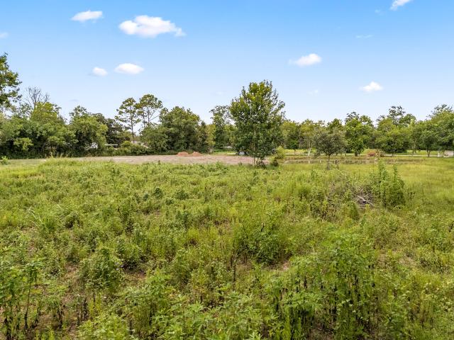 Land for sale in Alvin, Texas