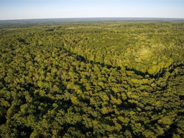 Land for sale in Sawyer, Wisconsin