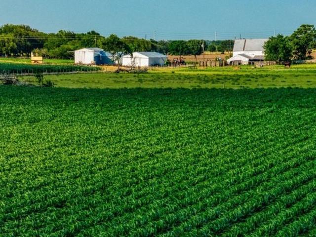 Land for sale in Beasley, Fort Bend County