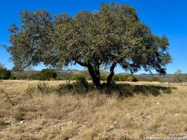 Land for sale in Camp Wood, Texas