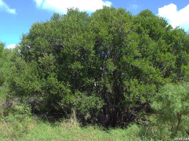 Property for sale in Big Wells, Texas