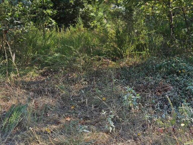 Land for sale in Brighton, Missouri