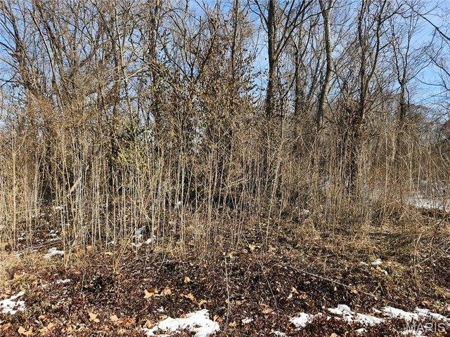 Land for sale in Illinois