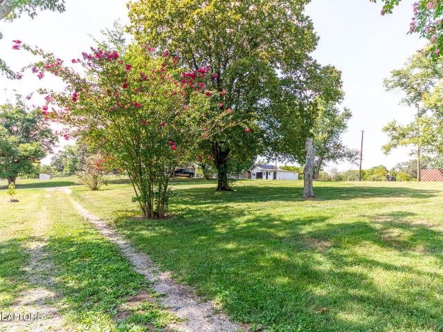 Land for sale in Tennessee