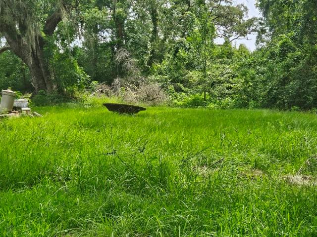 Land for sale in Sweeny, Texas