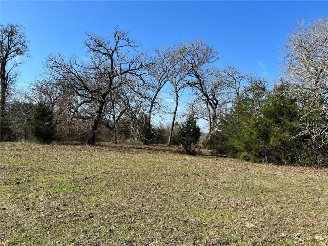 Land for sale in Richards, Texas