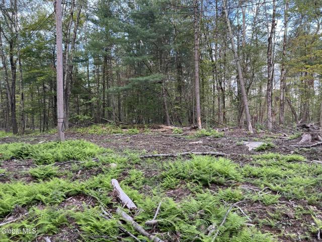 Land for sale in Grafton, New York