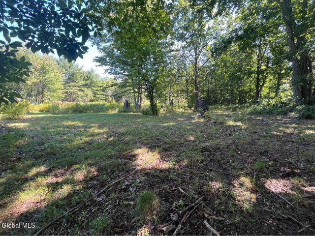 Land for sale in Berne, New York