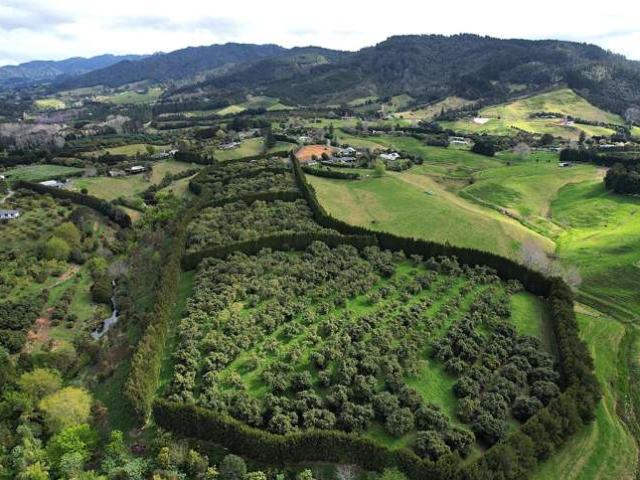 Property for sale in Katikati, Bay Of Plenty